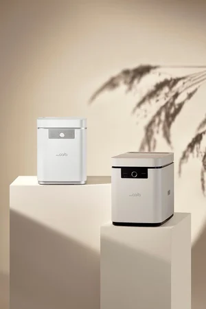 “본격 가을 웨딩 시즌”… 혼수·집들이 가전 어떤 제품