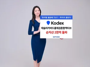 전기차 캐즘 우려 끝났나...테슬라 ETF에 자금 몰린다