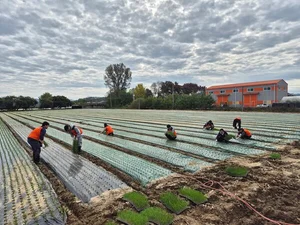 한식진흥원, 농번기 맞아 농가 일손 도와