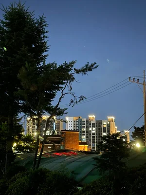 서울 아파트 거래 절반 떨어지자 월세 가격 역대 최고 수준 점프