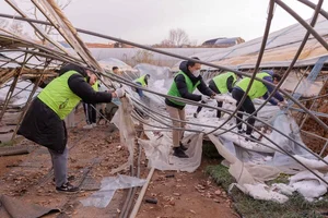 이석용 NH농협은행장, 경기도 폭설 피해농가 복구 봉사