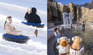 에버랜드, 캐리비안 베이 함께 이용 '에버투캐비' 선봬