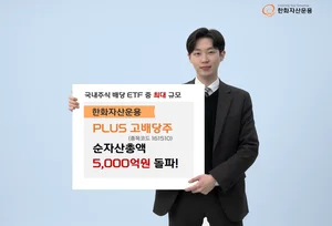 외국납부세액 개편 효과에 국내 주식 ETF로 자금 유입