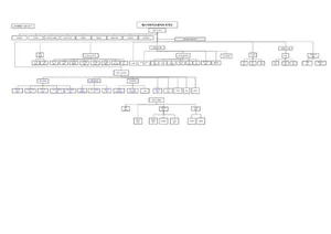 에스디바이오센서 조직도(2025년 2월)