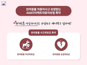 AXA손해보험, 반려동물 특약 출시로 유기동물 보호