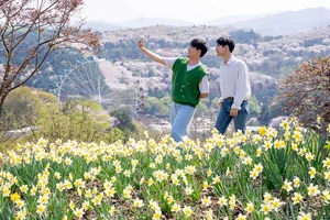 에버랜드, 매화ᆞ벚꽃ᆞ튤립 등 봄꽃 만발