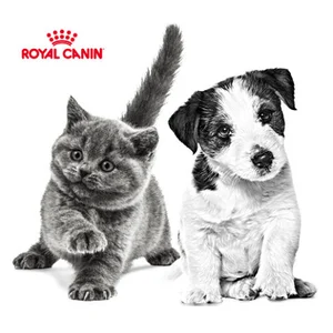 펫푸드 절대강자 로얄캐닌, 작년 매출 4천억 육박..국내 매출 2천억 추정