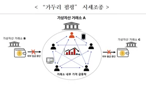 금융당국, 가상자산 시세 조종 검찰 고발..'경주마·가두리펌핑' 수법
