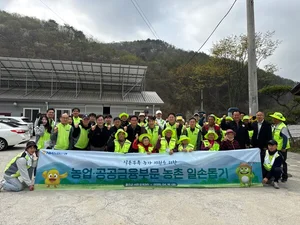 NH농협은행, 자매결연 마을 배추농가 일손돕기 봉사