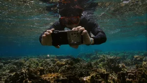 삼성전자, 농구장 25배 면적의 산호초 복원 성과