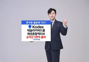 테슬라 주가 반등 기대감에 채권 안정성 더한 ETF '인기'