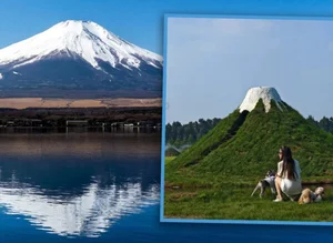 中, 후지산도 짝퉁으로