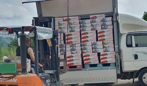 JT저축은행, 경북 산불 피해 농가 지역 특산품 구매해 임직원에 선물