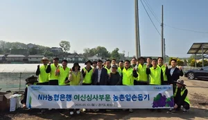 NH농협은행, 영농철 농촌 일손 돕기 실시