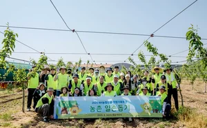 NH농협은행, 충남 아산시 농가 찾아 '농촌 일손돕기' 실시