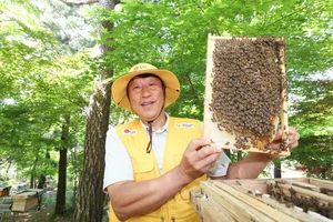 LG, 자연 생태계 살리는 ‘토종 꿀벌’ 키운다