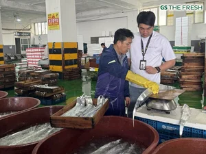 GS더프레시, ‘국민 생선’ 갈치 행사 개최..제주 손질 갈치 3마리, 6900원