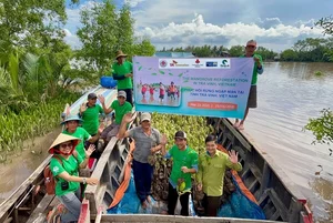 SK이노, 베트남서 맹그로브 숲 복원