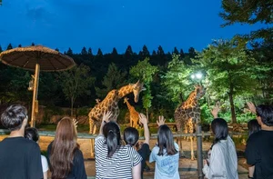 에버랜드, 여름방학 동물 탐험 프로그램 진행