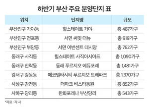 수도권 규제 강화 속 부산 분양시장 활기…하반기 8400가구 공급 예정