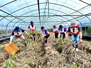 희망브리지, 한국자원봉사협의회와 경남 산청 집중호우 피해 농가 복구 활동