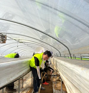 NH농협은행 준법감시부문, 충남 홍성 호우 피해 지역 찾아 자원봉사