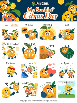 카카오 브랜드 이모티콘 마케팅 '주목'