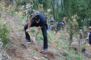 DL이앤씨, ‘집씨통’ 캠페인으로 난지도 숲 복원 동참… “일상 속 ESG 실천”