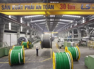 LS에코에너지, 인도네시아 대규모 데이터센터에 초고압 케이블 공급