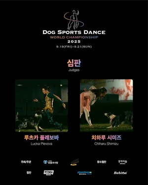 제2회 DSD월드챔피언십 접수 성황