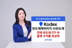 KODEX 반도체 2종, 반도체 ETF 올해 수익률 1위