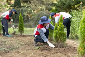 희망브리지, 나무심기 사업 본격 추진...산불 피해 예방 · 생태 복원 실현