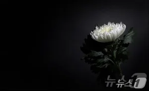 [부고] 임채호(경기도의회 사무처장)씨 장모상