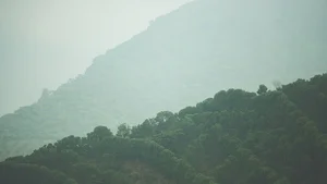 블루보틀 커피, 탄소중립 달성..지속가능한 커피 산업 전략 추진