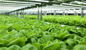 롯데이노베이트, ‘도시의 푸른농장’에 AI 접목...