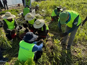 NH농협은행 신용리스크관리부, 충남 서산 농가 일손돕기