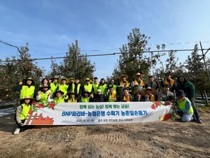 NH농협은행·BNP파리바, 사과 수확 일손 돕기 실시