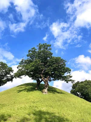 HS효성, 임직원이 찍은 사진으로 2026년 만든다