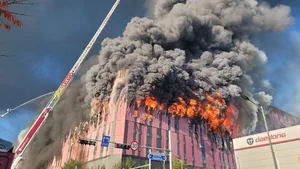 '축구장27개 초대형화재' 이월드보다 손보사 주가 낙폭 더 커