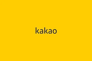 카카오 컨트롤타워 'CA협의체' 구조 개편…
조직 슬림화, 실행력 강화에 방점