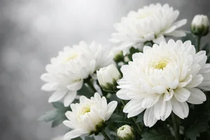 [부고] 박희윤(HDC현대산업개발 개발본부장)씨 모친상 