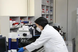 hy, 특허 유산균 ‘HY2782’ 포스트바이오틱스 효과 국제학술지 게재