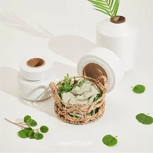 효성티앤씨, 카카오뱅크와 ‘세이브 레이스 2026’ 협약…'리젠' 굿즈 제작