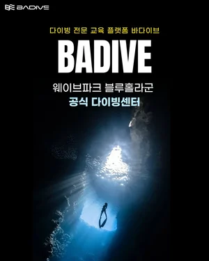 바다이브, ‘2026 경기국제보트쇼·서프쇼’ 참가..해양 레저 콘텐츠 선봬