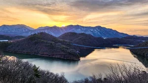 현대모비스 진천 미르숲서 ‘노란목도리담비’ 포착...
20년 이어온 생태계 복원 사회공헌 성과 확인