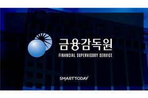 금감원 