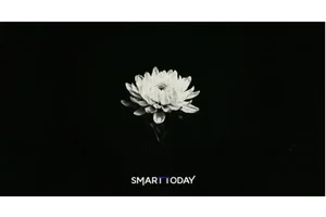 [부고] 양동홍(현대해상 강북대인보상단)씨 모친상