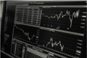 금융당국, 텔레그램·유튜브 집중제보기간 운영..