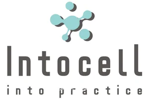 인투셀, ADC 신약 'ITC-6146RO' 글로벌 1상 돌입… 