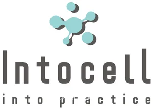 인투셀, ADC 신약 'ITC-6146RO' 글로벌 1상 돌입… 